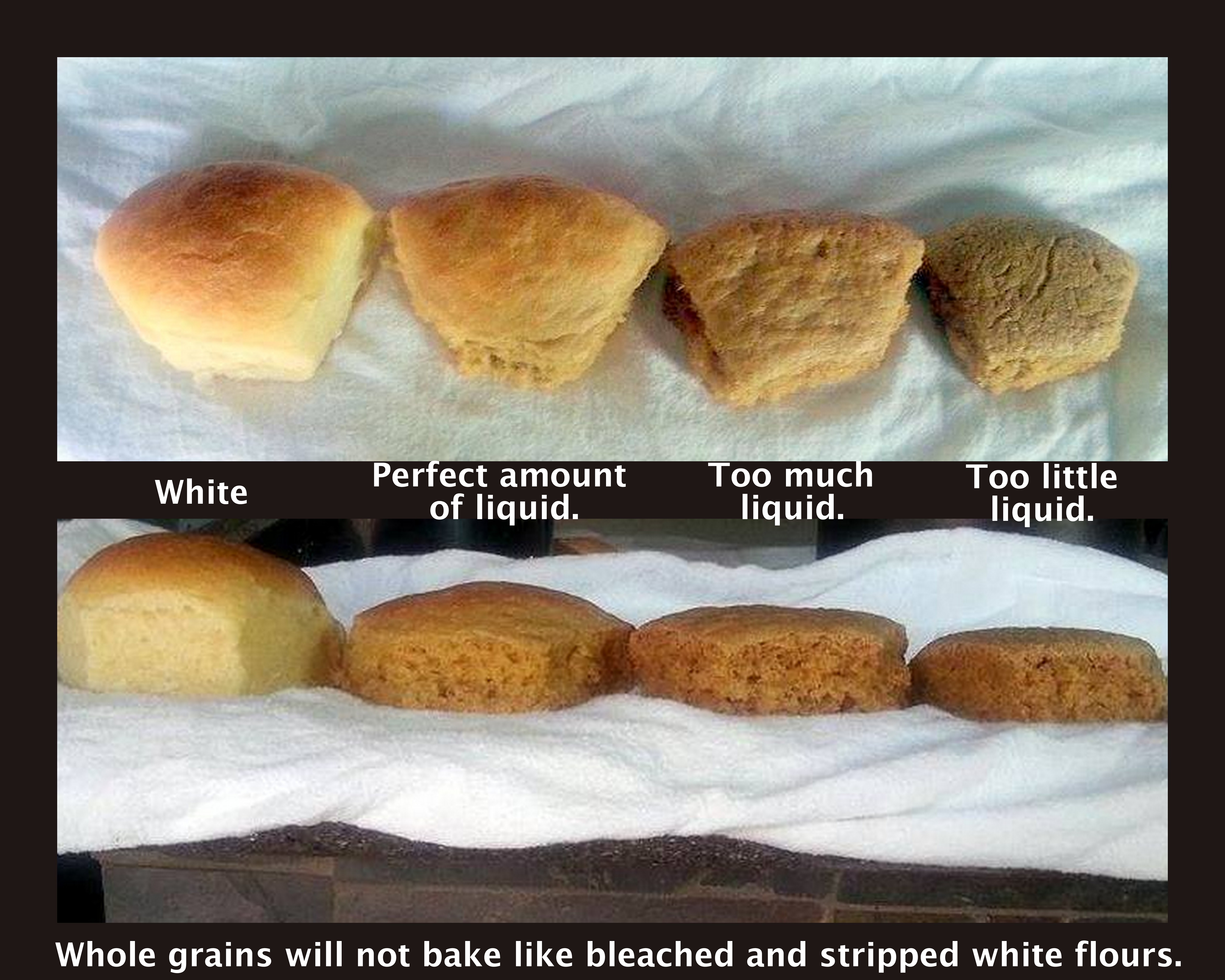 Bread Flour vs All Purpose  What Are The Differences Between